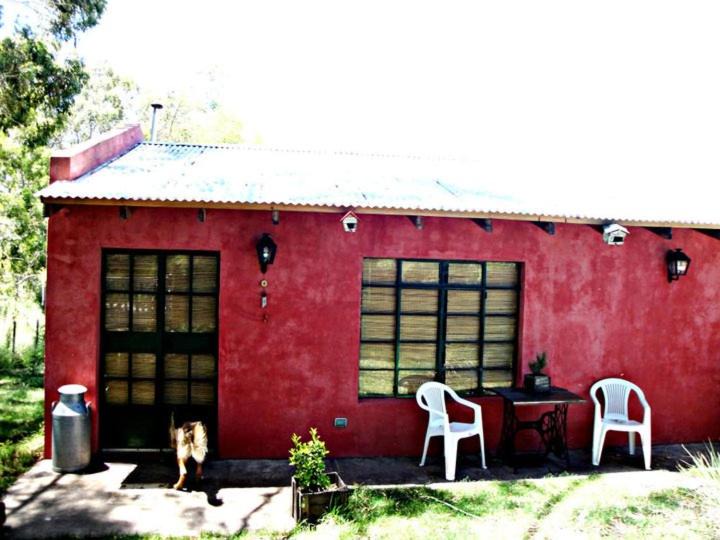 Photo of Others in Tandil