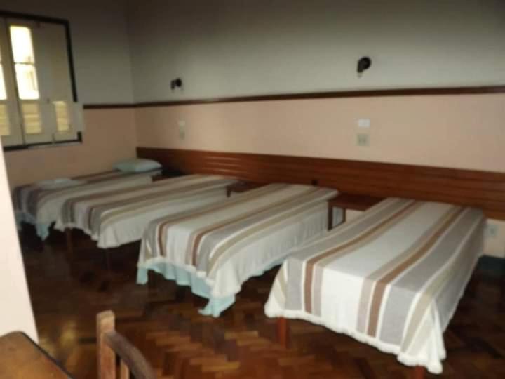 Photo of Others in Oliveira
