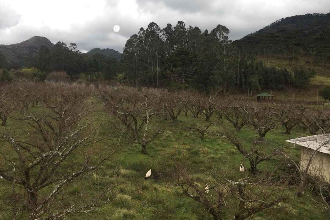 Photo of Others in Urubici