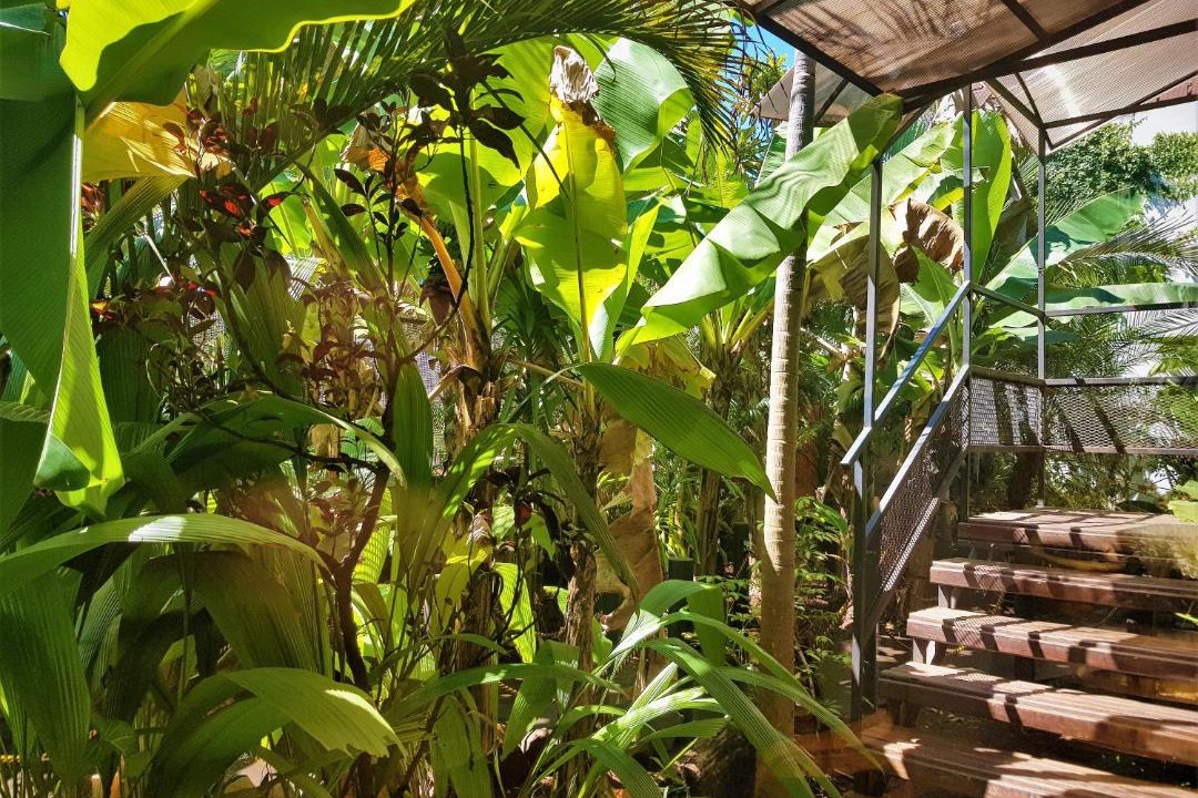 Photo of Others in Puerto Iguazu