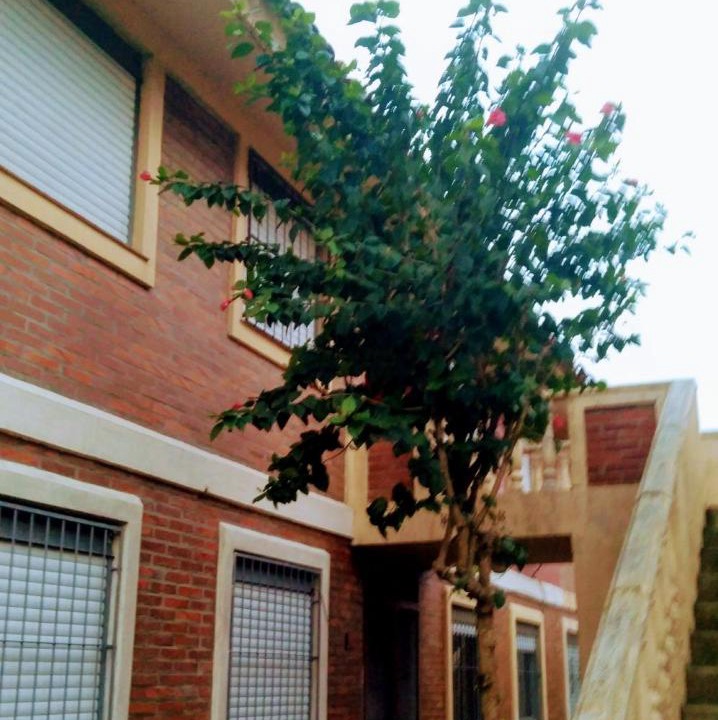 Photo of Others in Simoes Lopes