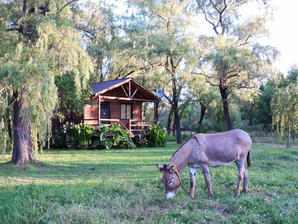 Photo of Others in Ramallo