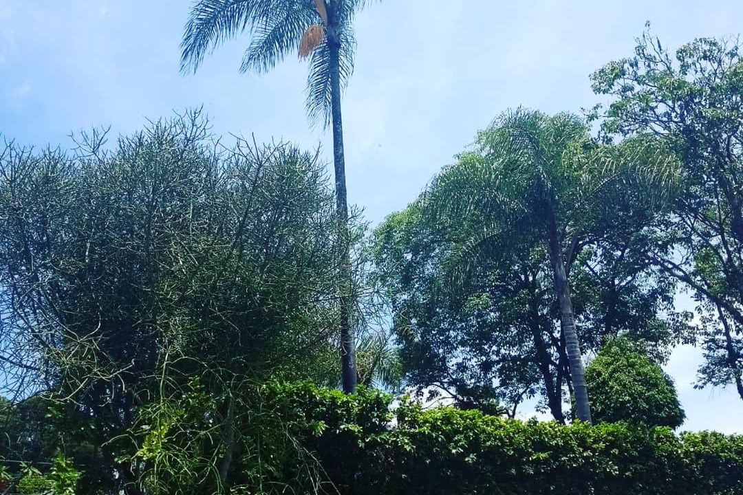 Photo of Outdoor in Serra Negra