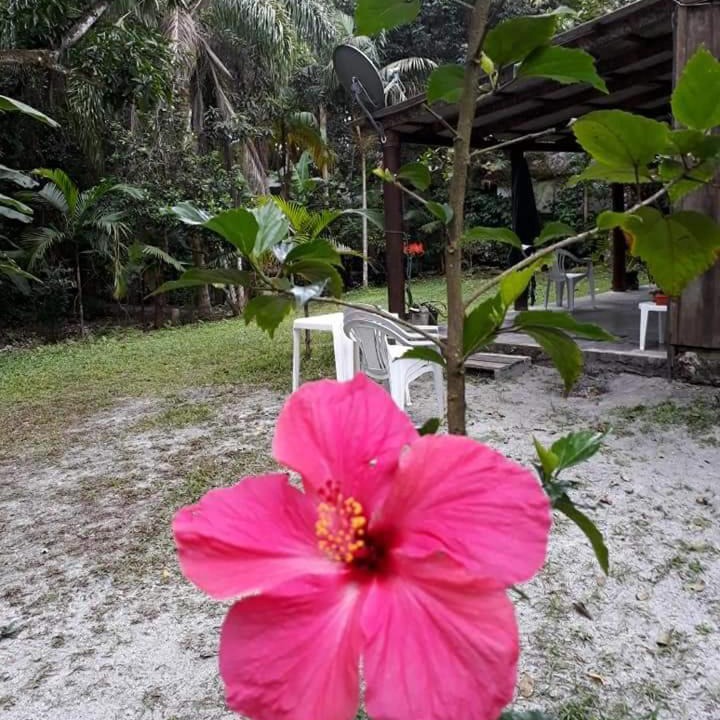 Photo of Others in Paranagua