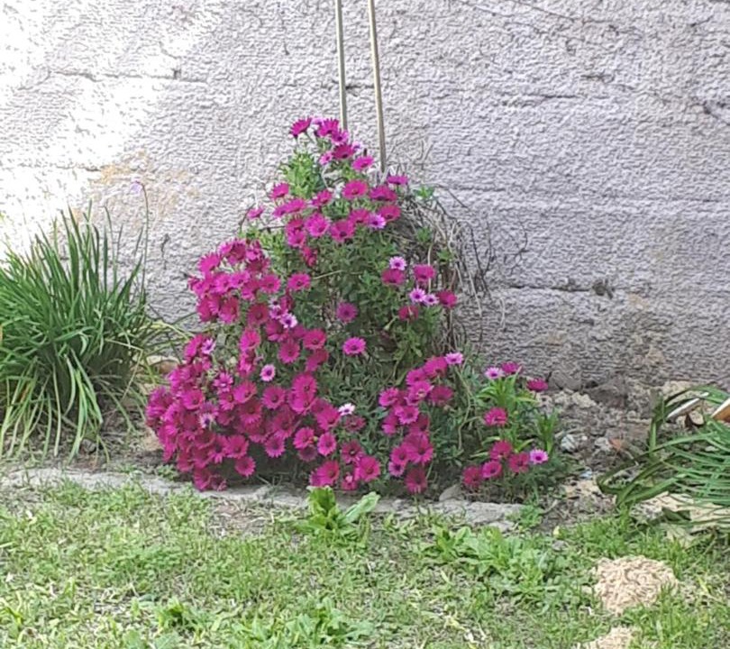 Photo of Outdoor in San Pedro