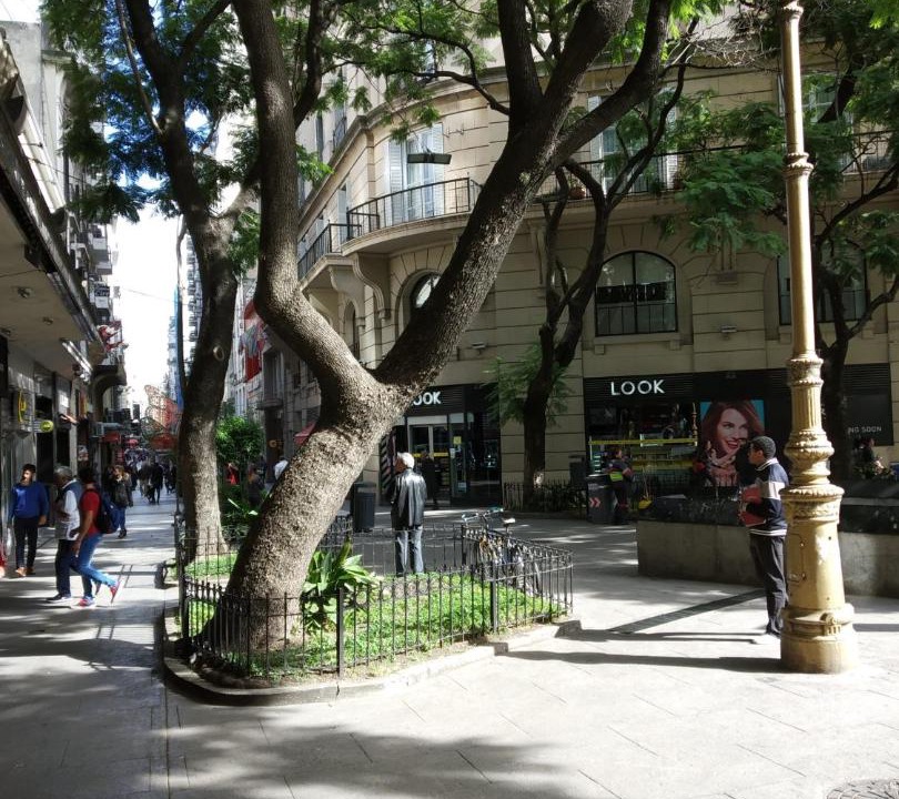 Photo of Others in Microcentro