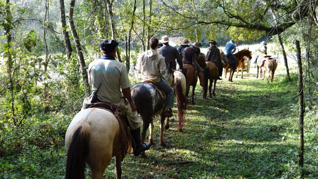 Photo of Others in Tibagi