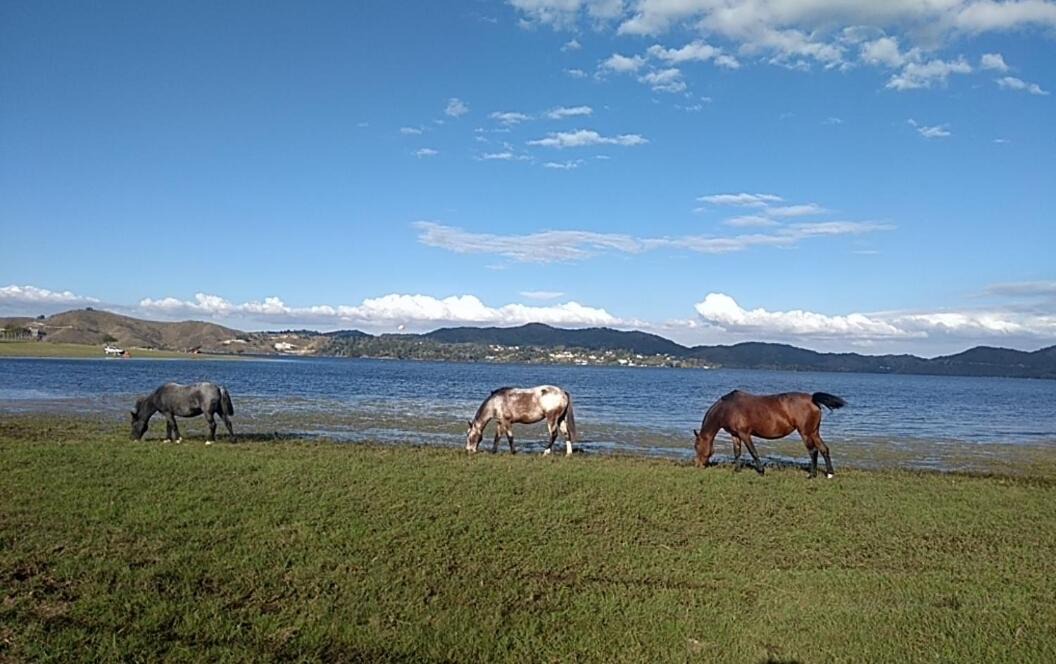 Photo of Others in La Estancia