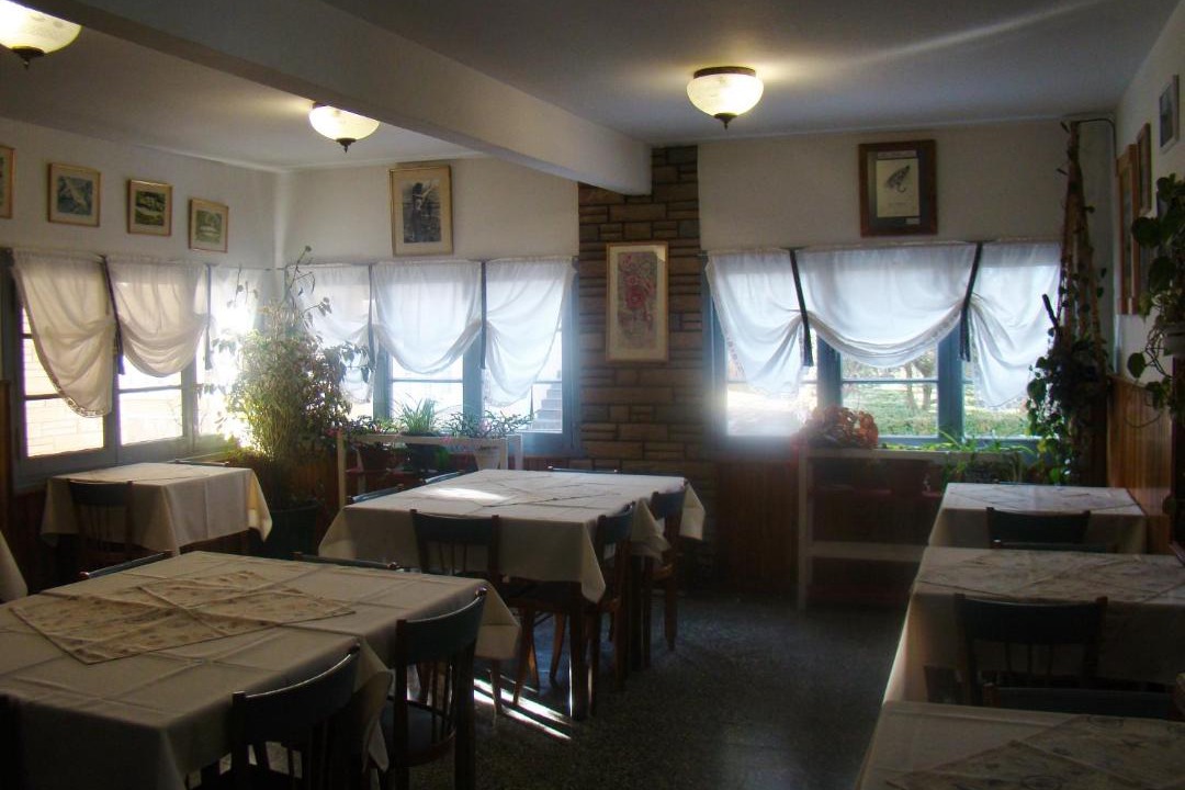 Photo of Others in Junin de los Andes