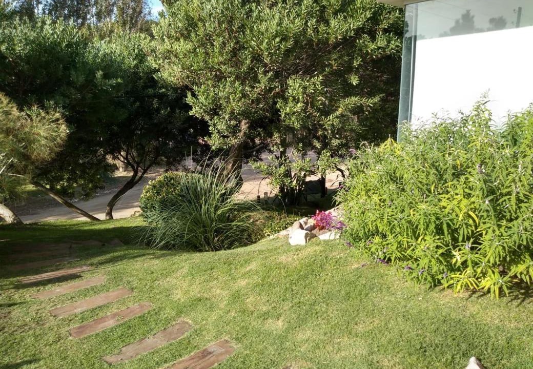 Photo of Others in Las Gaviotas
