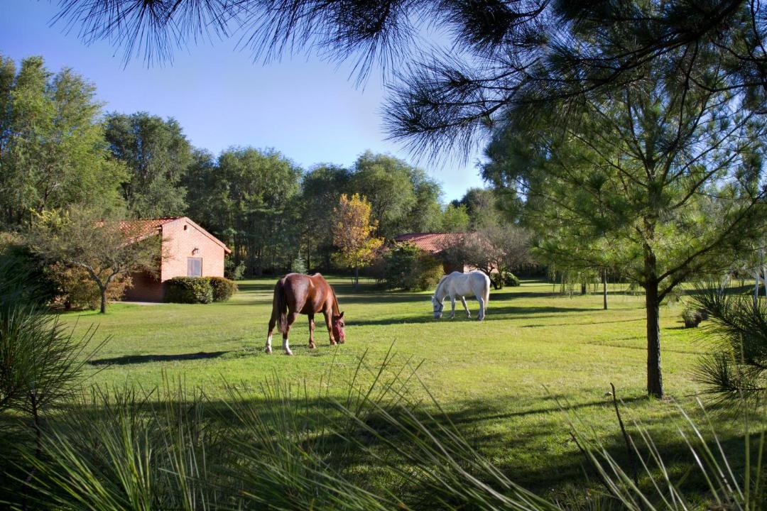 Photo of Others in Villa General Belgrano