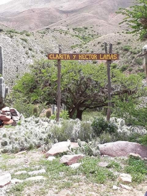 Photo of Others in Humahuaca