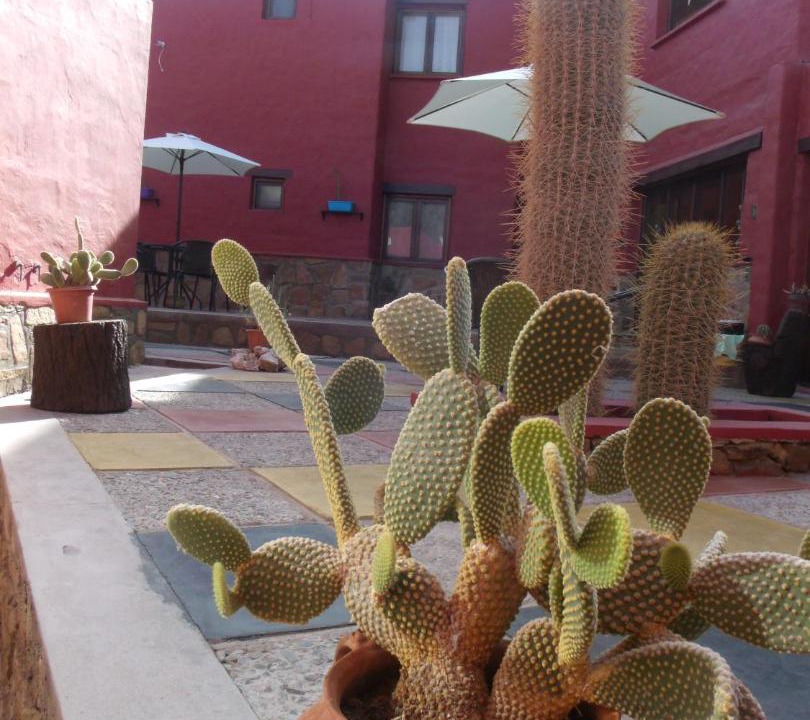 Photo of Others in Humahuaca