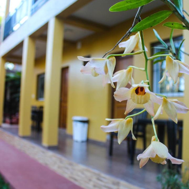 Photo of Others in Puerto Iguazu