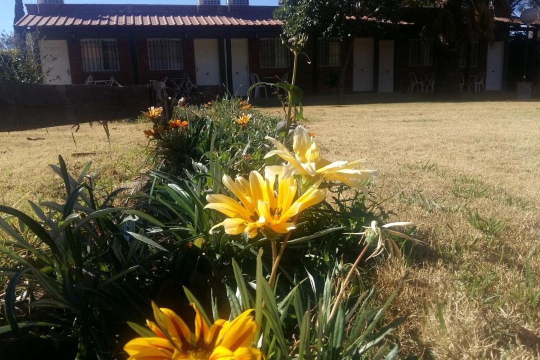 Photo of Others in San Agustin de Valle Fertil