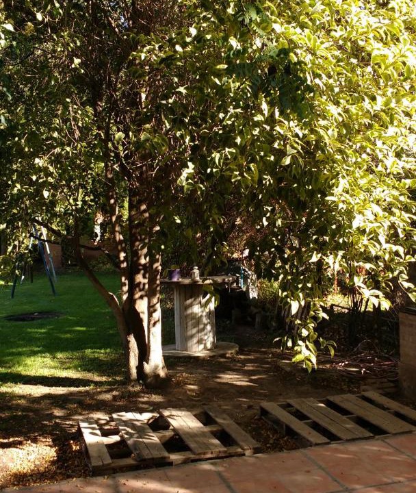 Photo of Others in Neuquen