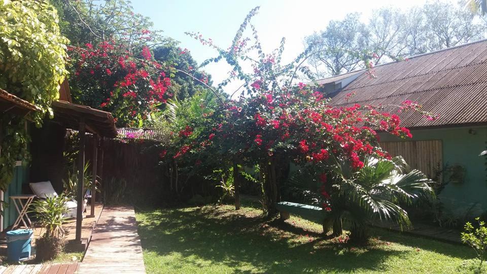 Photo of Others in Paranagua