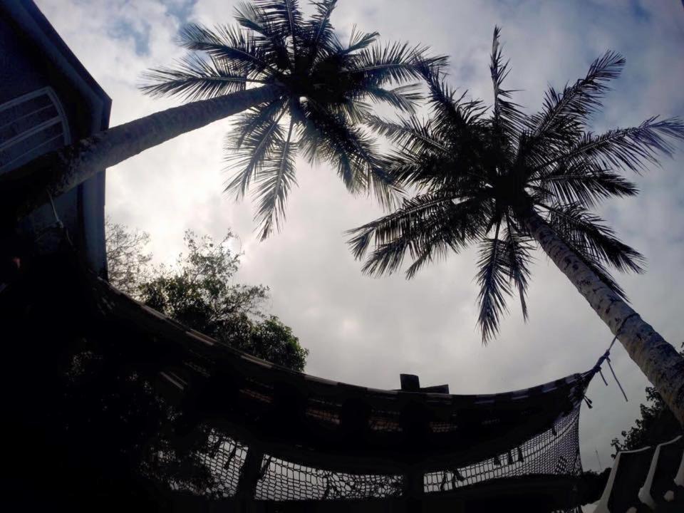 Photo of Others in Paranagua