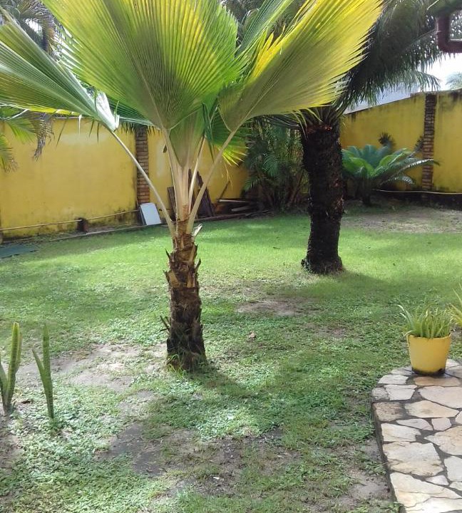 Photo of Others in Porto de Galinhas