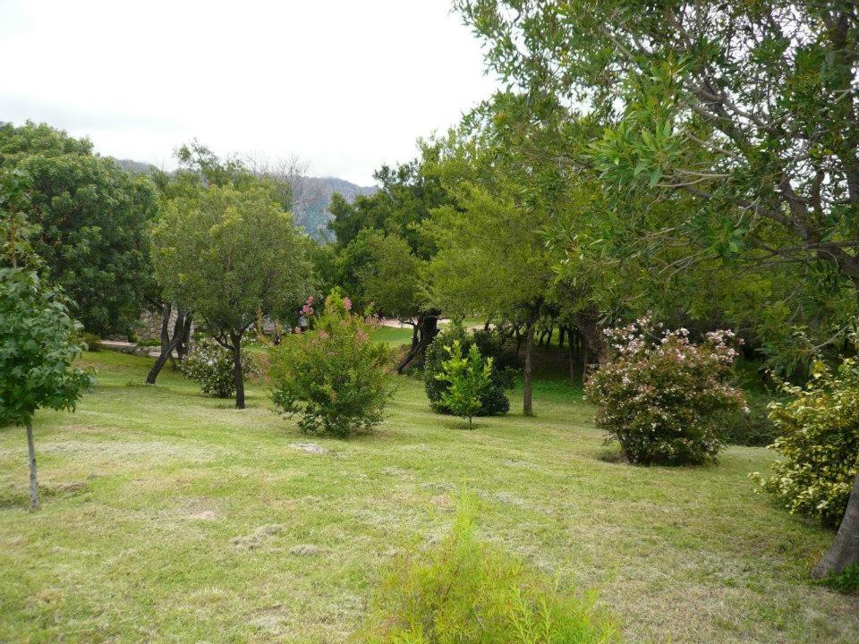 Photo of Others in Cortaderas