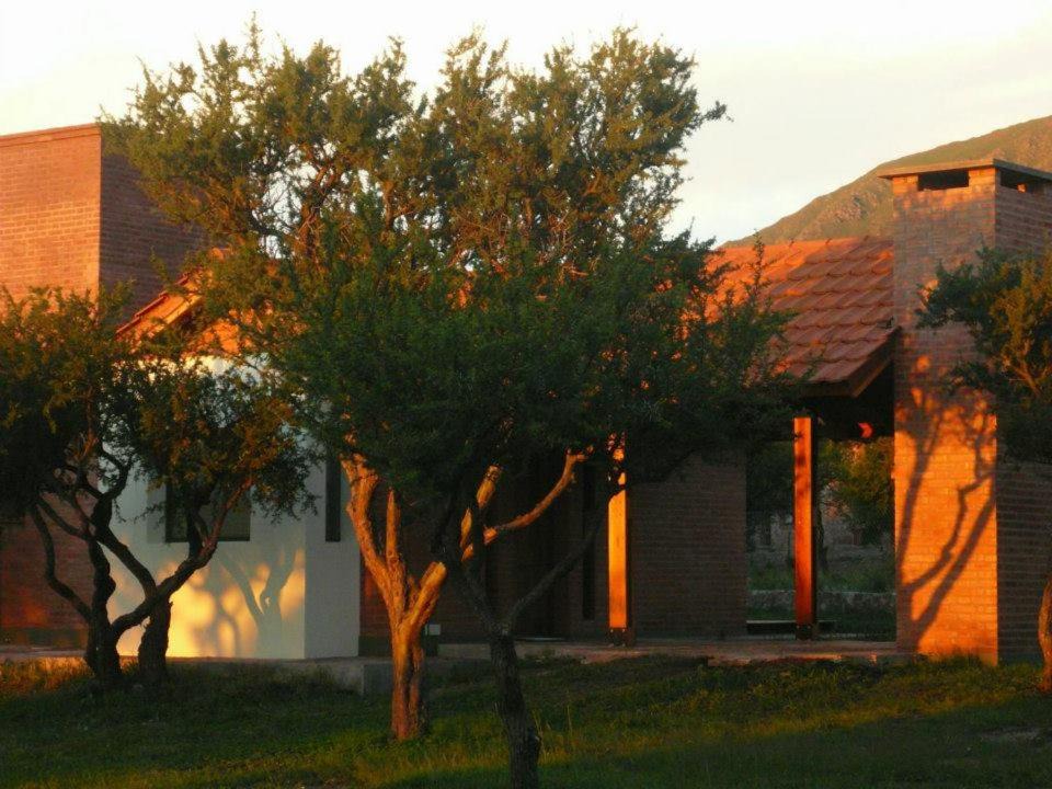 Photo of Others in Cortaderas