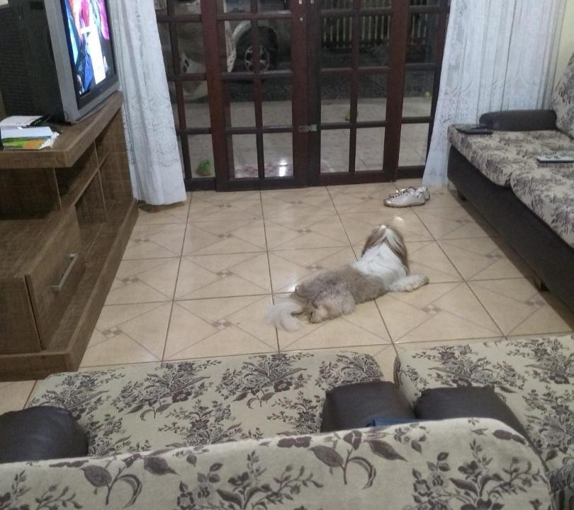 Photo of Livingroom in Itapoa