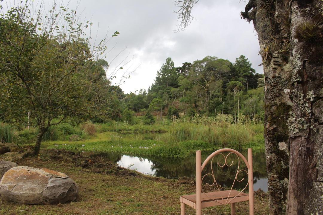 Photo of Others in Sao Francisco de Paula