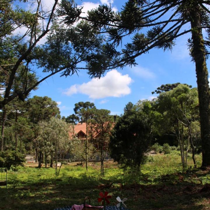 Photo of Others in Sao Francisco de Paula