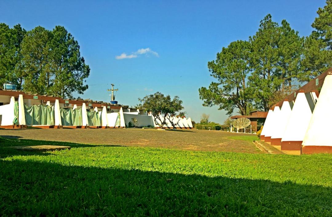 Photo of Others in Rosario do Sul