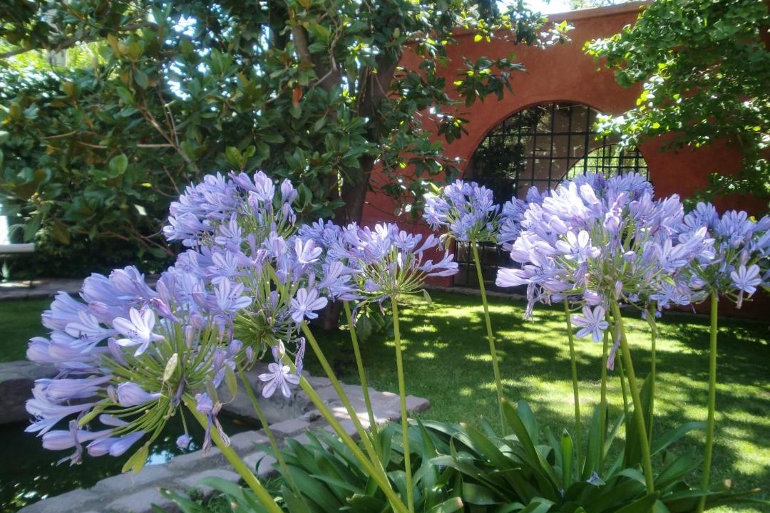 Photo of Others in Chacras de Coria