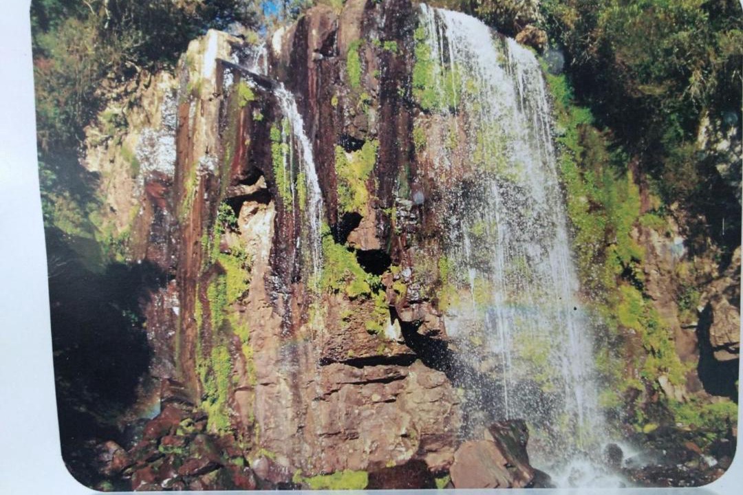 Photo of Others in Protasio Alves