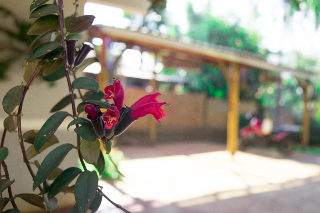 Photo of Patio Balcony in Puerto Iguazu