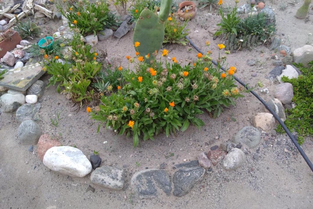 Photo of Others in Amaicha Del Valle