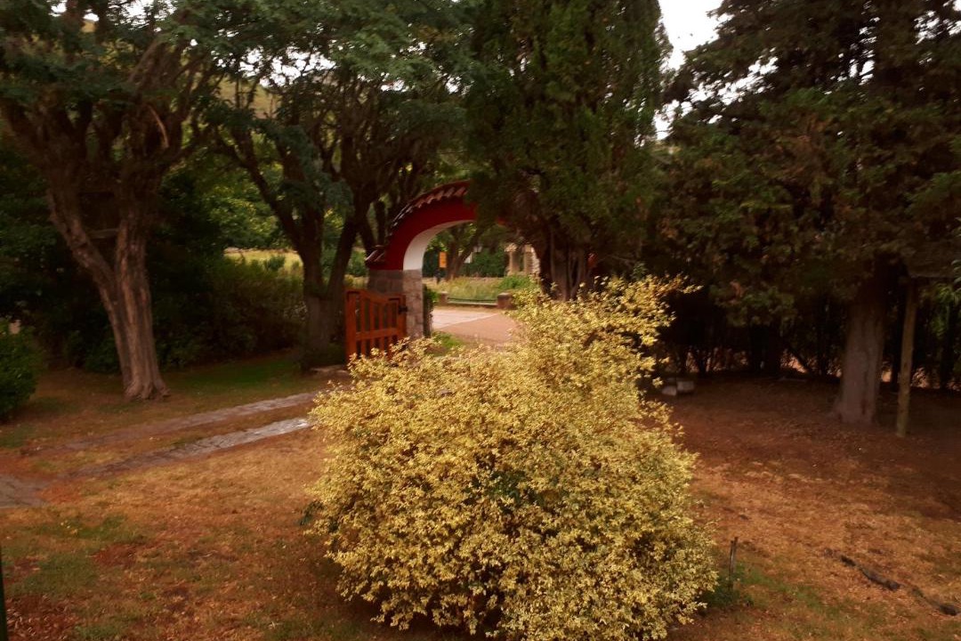 Photo of Others in La Cumbre