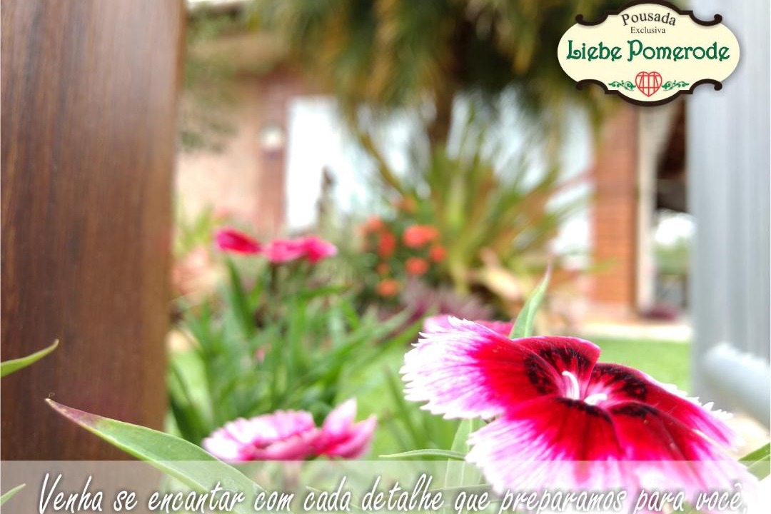 Photo of Patio Balcony in Pomerode