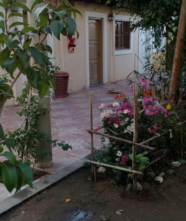 Photo of Others in San Agustin de Valle Fertil