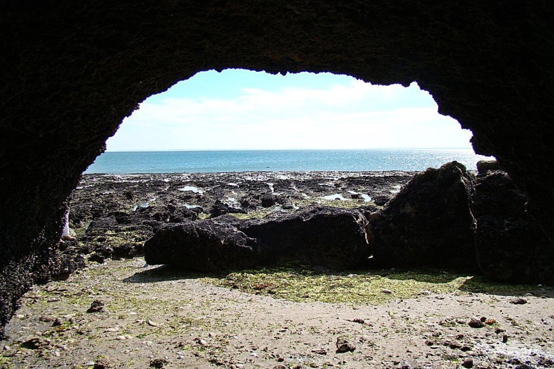Photo of Others in Puerto Piramides