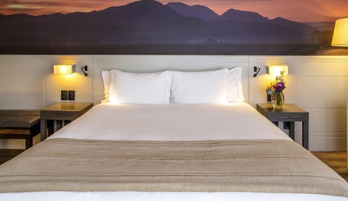 Standard Room, 1 King Bed with Sofa bed