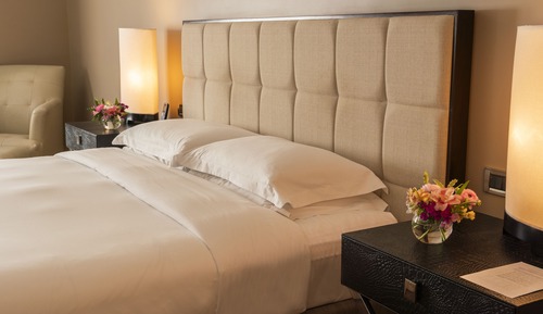 Room, 1 King Bed (Palace)