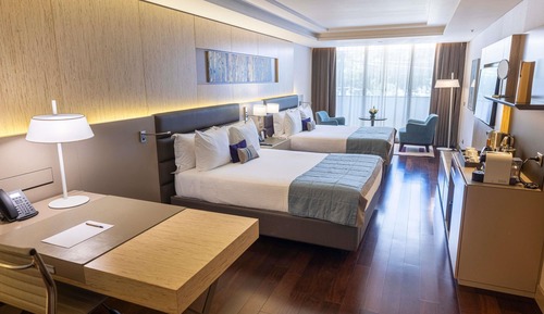 Deluxe Suite, 2 Twin Beds, Accessible, Park View