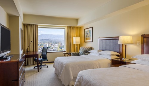 Club Room, 2 Twin Beds