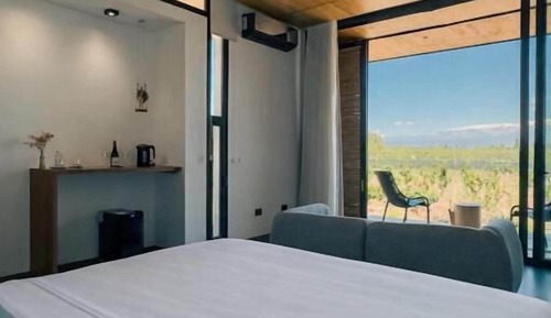 Deluxe Double or Twin Room, Vineyard View