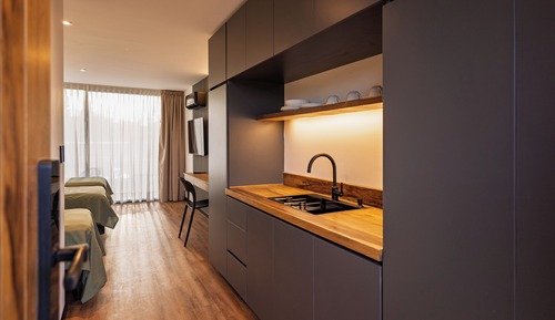 Superior Single Room, Balcony, Mountain View
