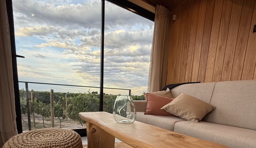 Premium Cabin, Vineyard View