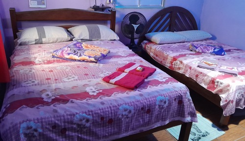 Family Twin Room