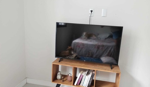 Basic Apartment