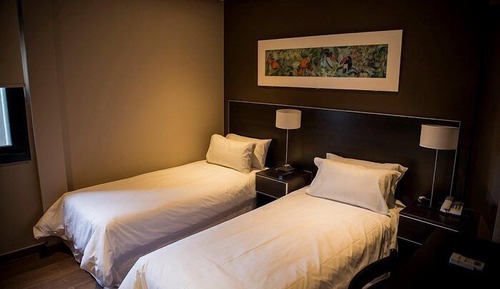 Basic Twin Room