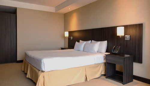 Room, 1 King Bed