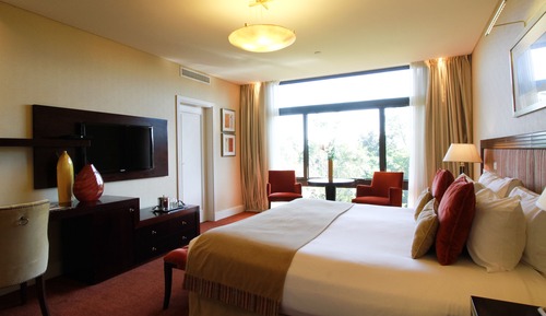 Junior Studio Suite