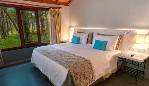 Standard Forest View